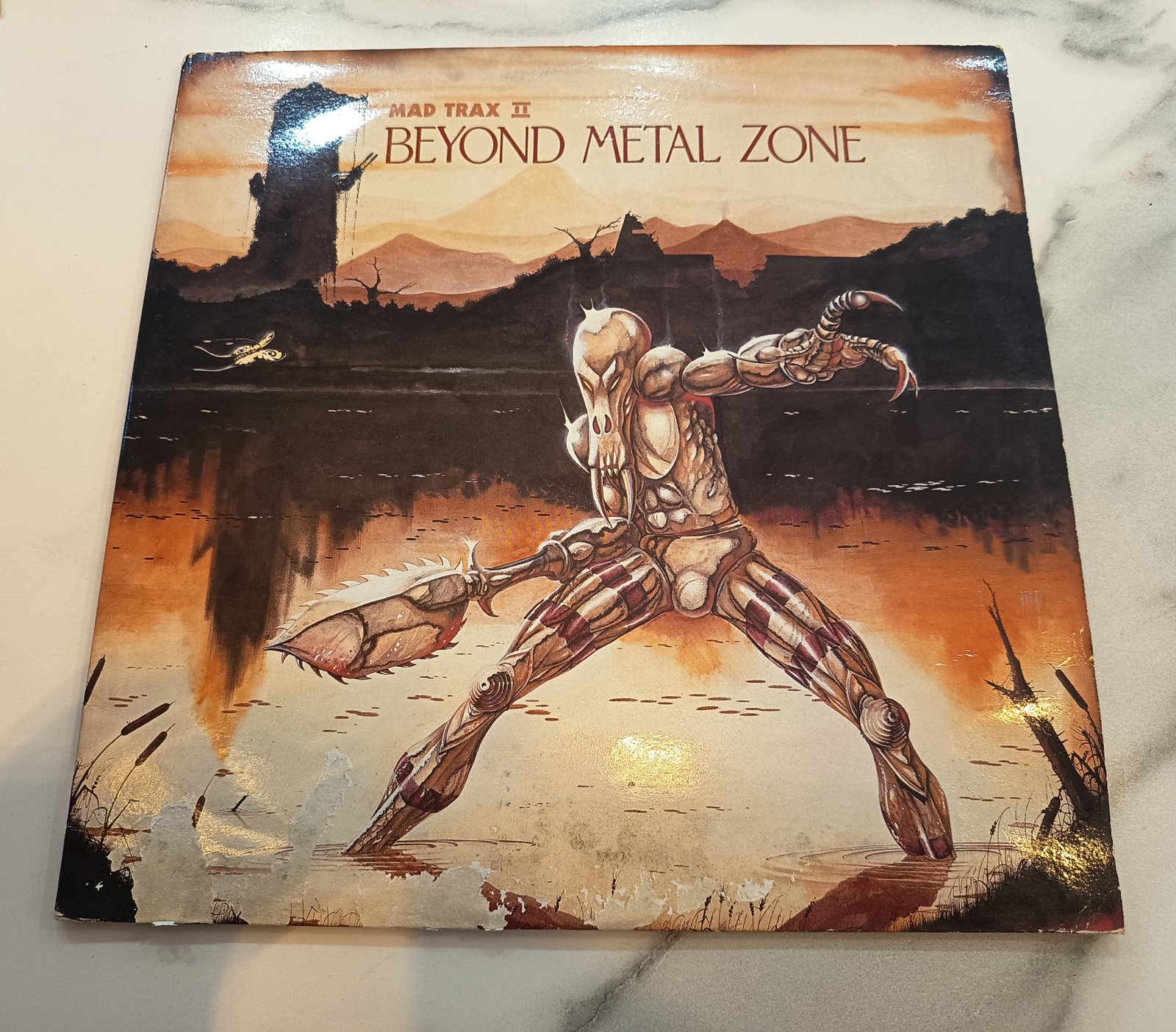 Beyond The Metal Zone